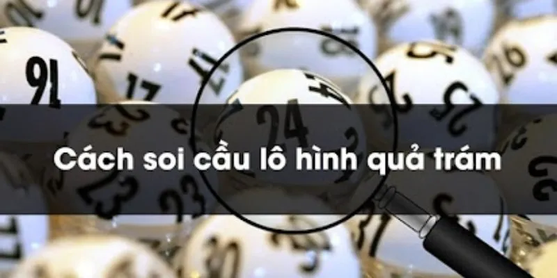 Những yếu tố ảnh hưởng đến việc soi cầu quả trám